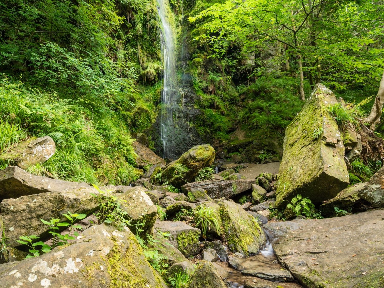 Mallyan Spout Waterfall